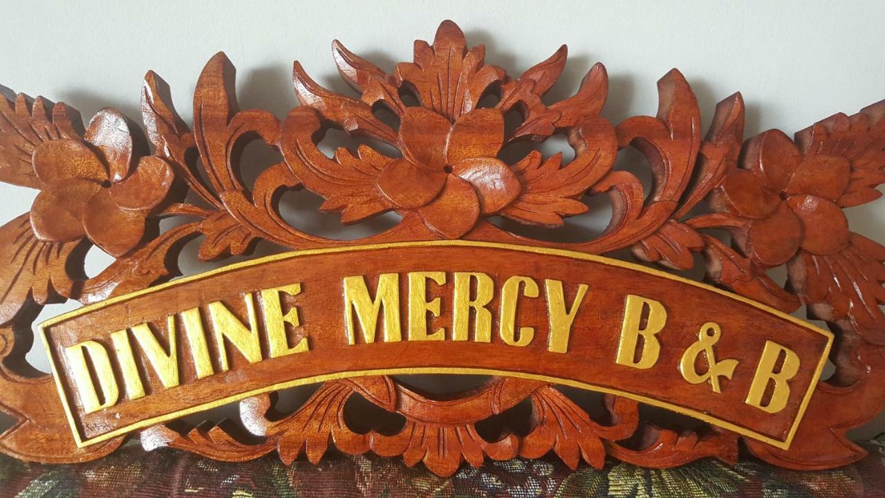 Divine Mercy B&B Knock  Esterno foto